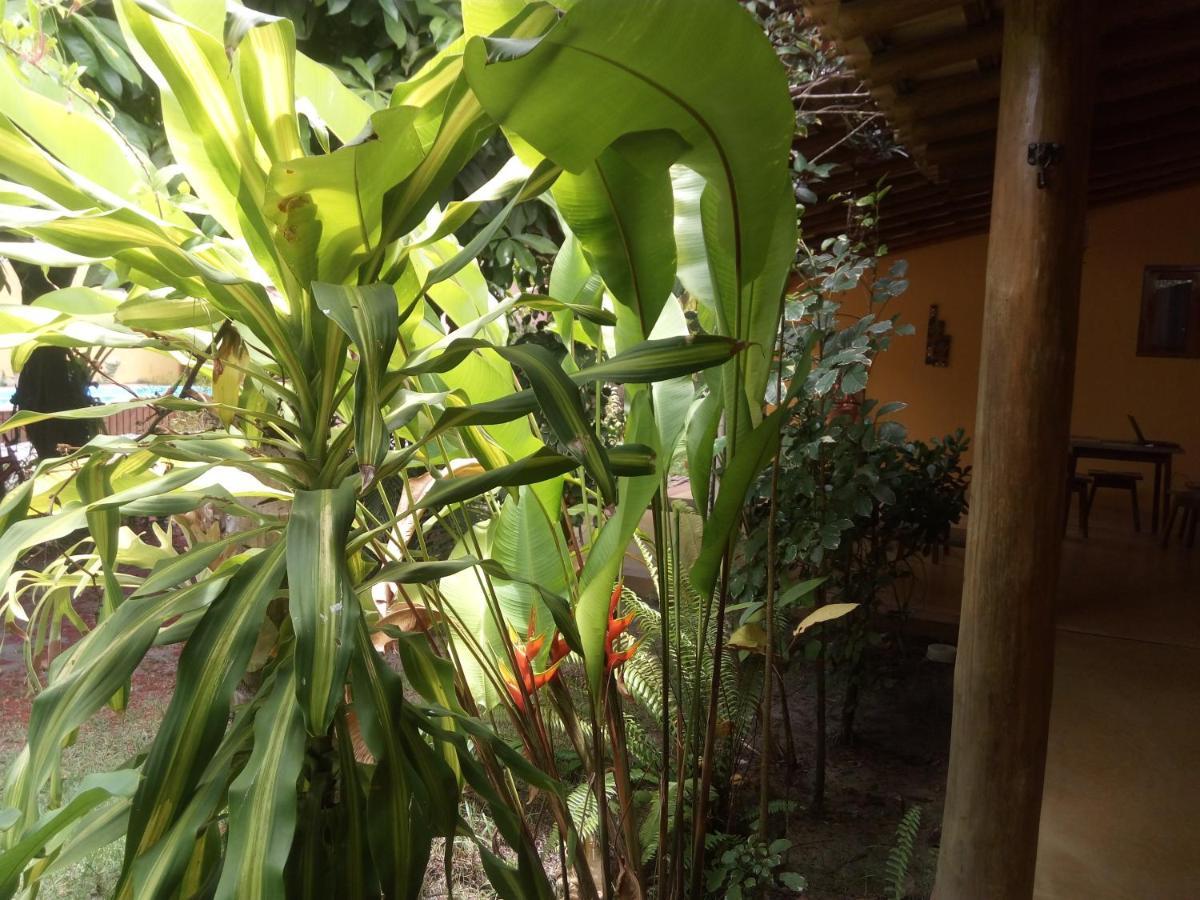 Pousada Grafite Trancoso Ngoại thất bức ảnh