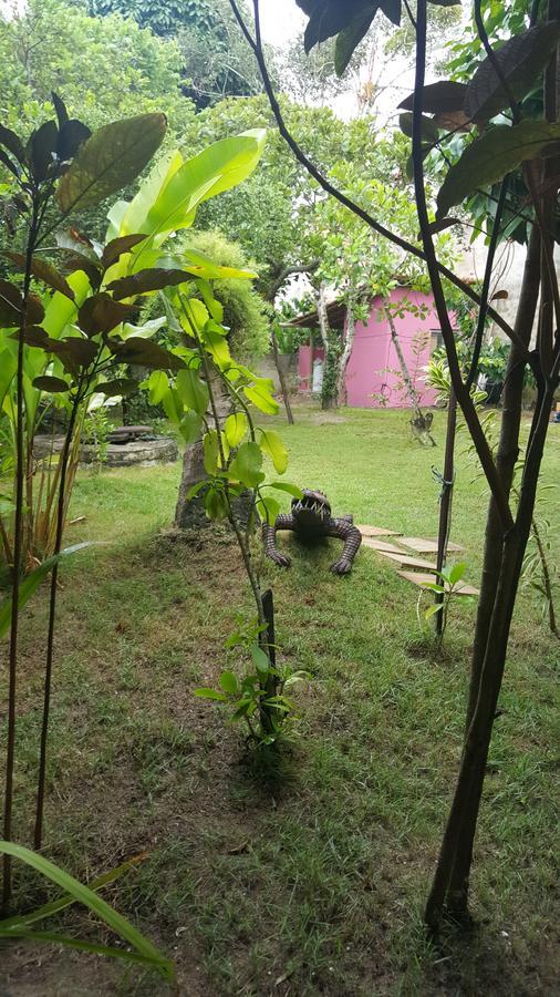 Pousada Grafite Trancoso Ngoại thất bức ảnh